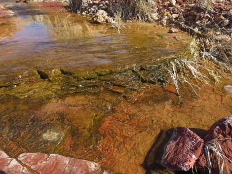 Red Rock Springs