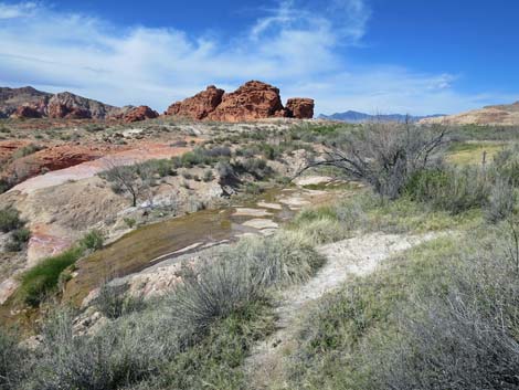 Red Rock Springs