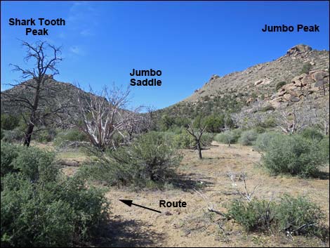 Shark Tooth Peak