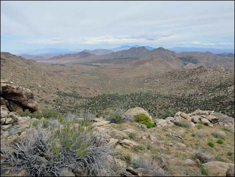 Shark Tooth Peak