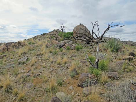 Summit Peak