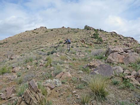 Summit Peak