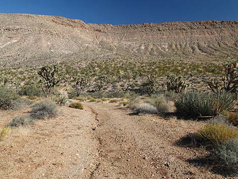 Uranium Mine