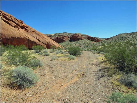 Whitney Pocket Overlook Trail