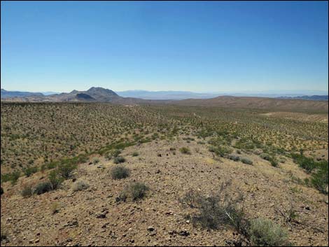 Whitney Pocket Overlook Trail