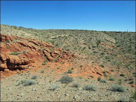 Whitney Pocket Overlook Trail