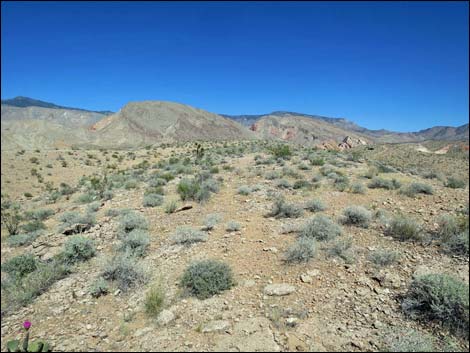 Whitney Pocket Overlook Trail