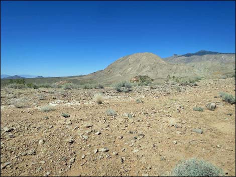 Whitney Pocket Overlook Trail