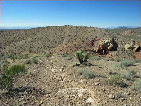 Whitney Pocket Overlook Trail