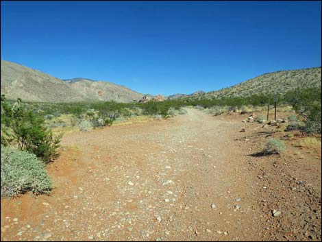 Whitney Pocket Overlook Trail