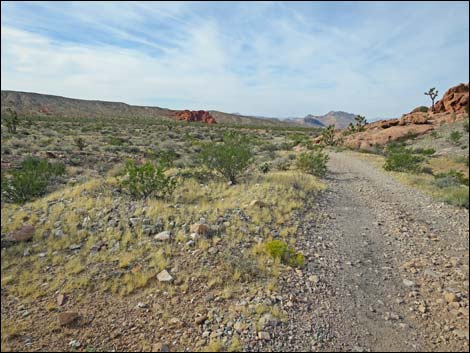 Whitney Pocket Overlook Trail