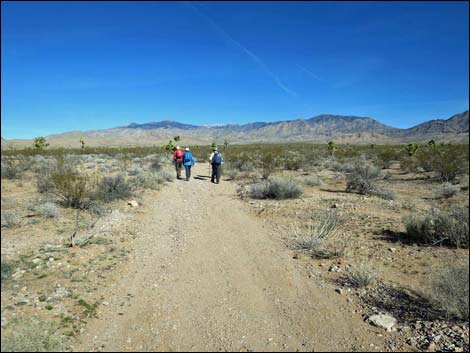 Wechech Basin Loop