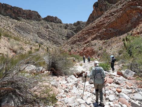 Whitney Wash