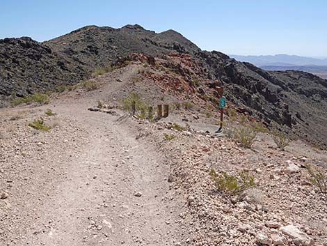 Black Mountain Overlook Trail