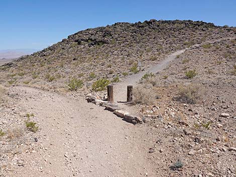 Black Mountain Overlook Trail