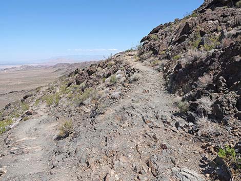 Black Mountain Overlook Trail