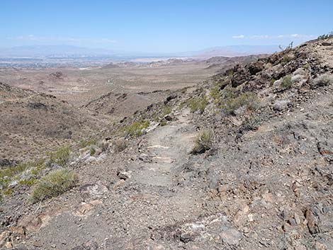 Black Mountain Overlook Trail