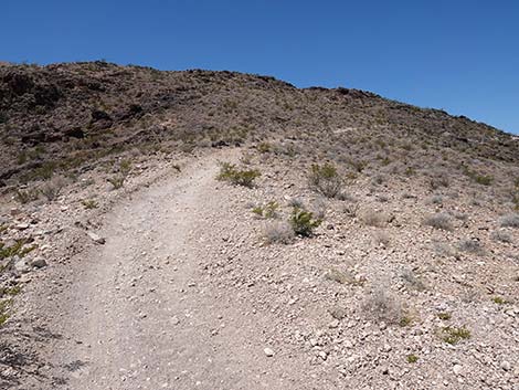 Black Mountain Overlook Trail