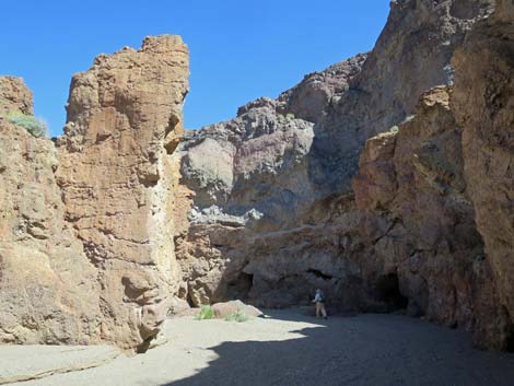 Boy Scout Canyon