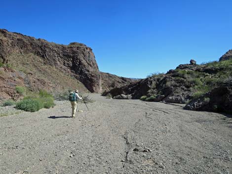 Boy Scout Canyon