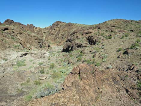 Colorado River Overlook