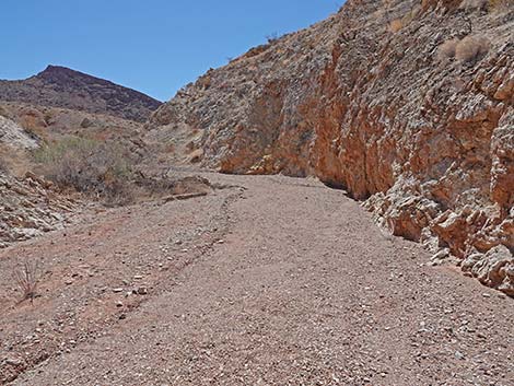 Cottonwood Spring