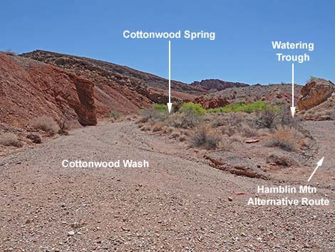 Cottonwood Spring