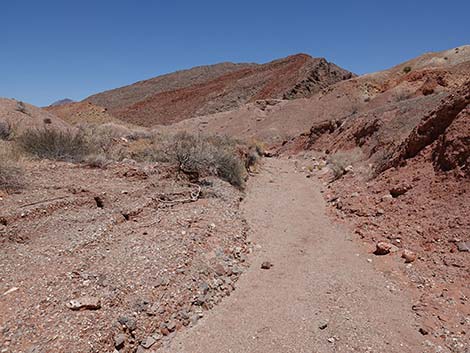 Cottonwood Wash