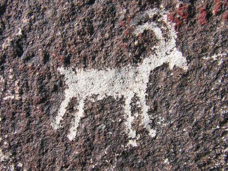 Grapevine Canyon Petroglyphs