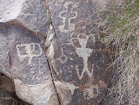 Grapevine Canyon Petroglyphs