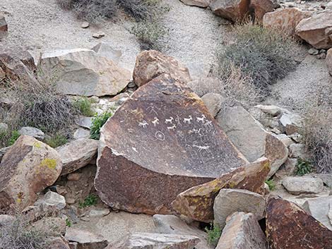 Grapevine Canyon Petroglyphs