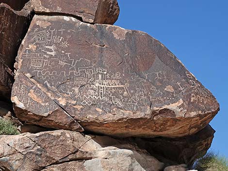 Grapevine Canyon Petroglyphs