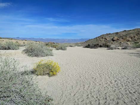 Grapevine Canyon