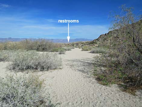 Grapevine Canyon