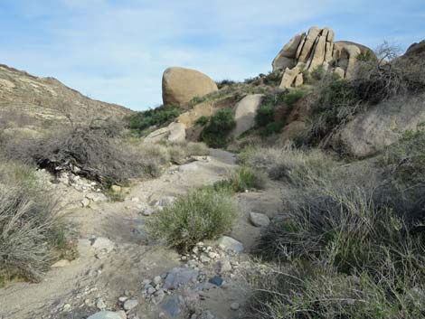 Grapevine Canyon