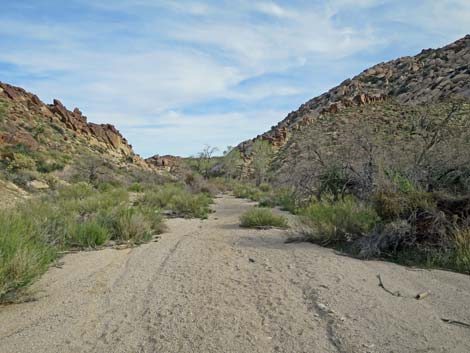 Grapevine Canyon