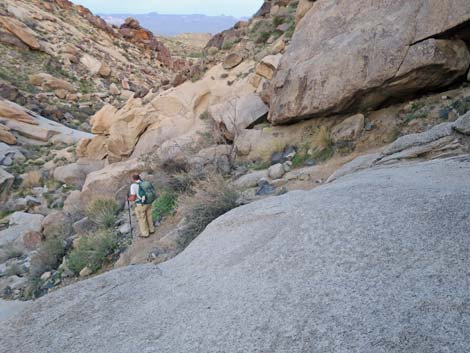 Grapevine Canyon