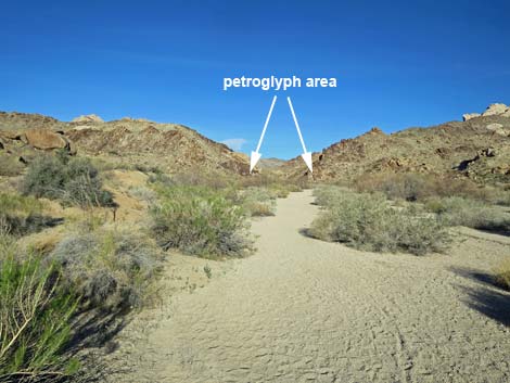 Grapevine Canyon