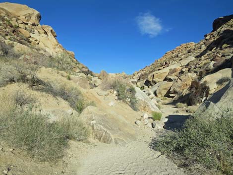 Grapevine Canyon