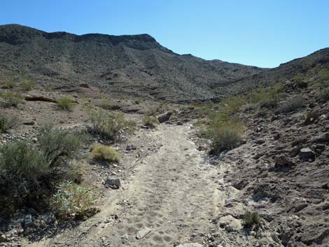 Arizona Hot Spring