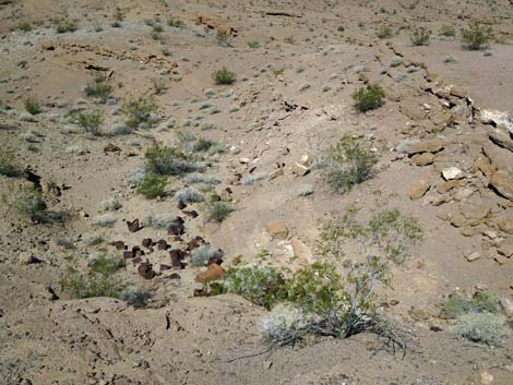 Hot Spring Canyon