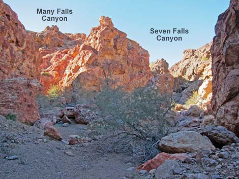 Seven Falls Canyon