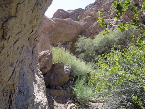 Natural Bridge