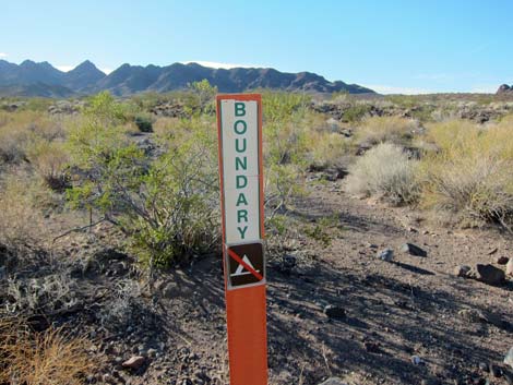 Cleopatra Wash Campground