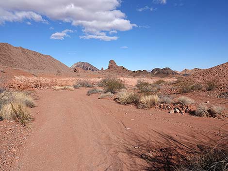 Red Needle Trail