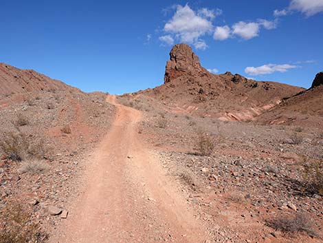 Red Needle Trail