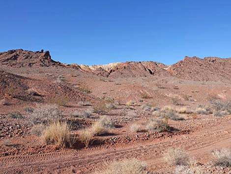 Red Needle Trail