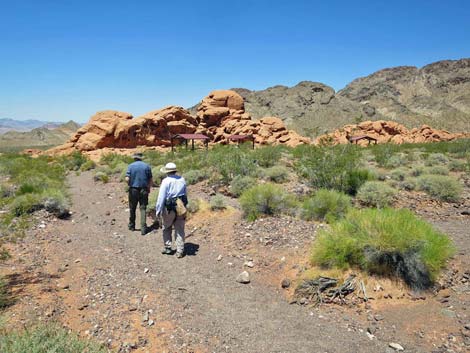 Redstone Dune Loop Trail