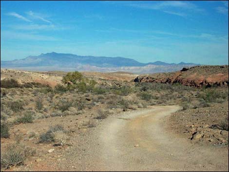 Bitter Springs Byway