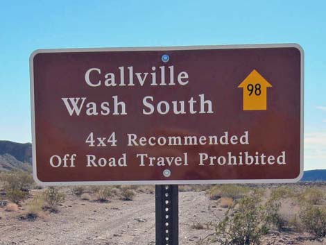 Callville Wash South Road